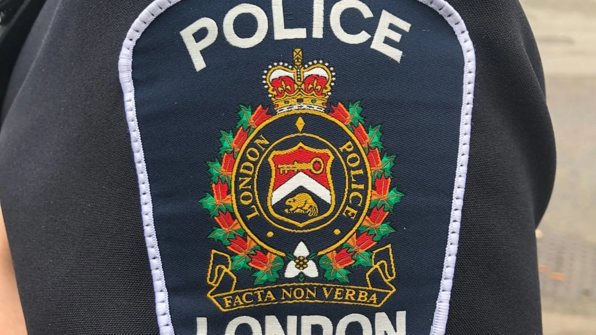 Man charged in alledged assault London police say was hate-motivated
