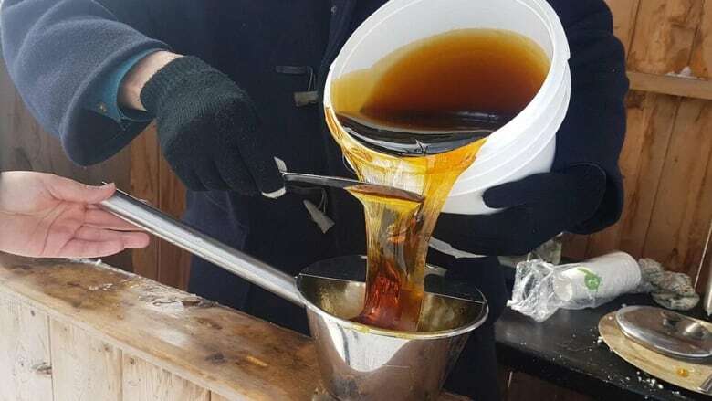 Waterloo region maple syrup producers to kick off season with tree tapping