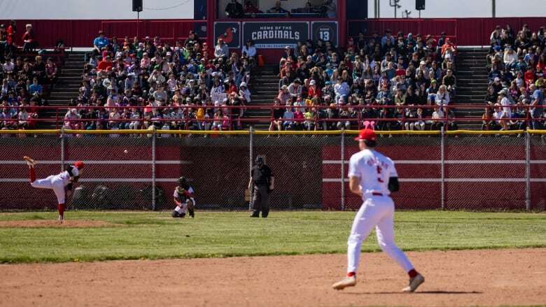 Great baseball is 'right here' in Hamilton, says Cardinals owner as season nears its end