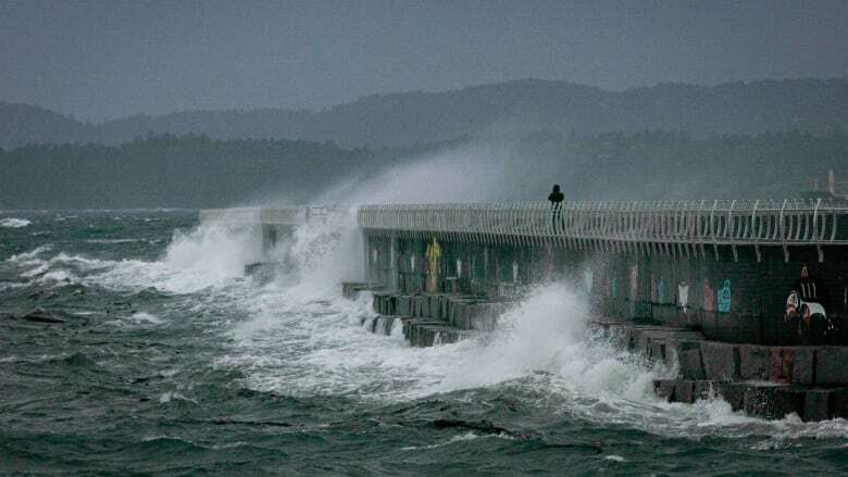 Strong winds forecast for B.C. coast before more rain moves in