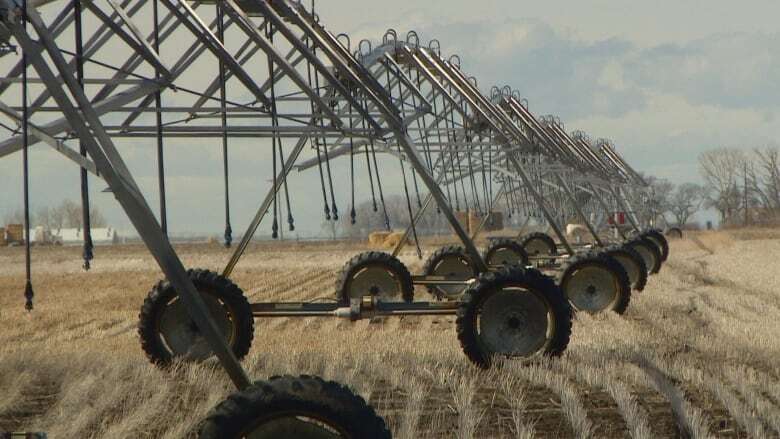 Economists say review of Sask. irrigation megaproject shows cost would exceed return to provincial government