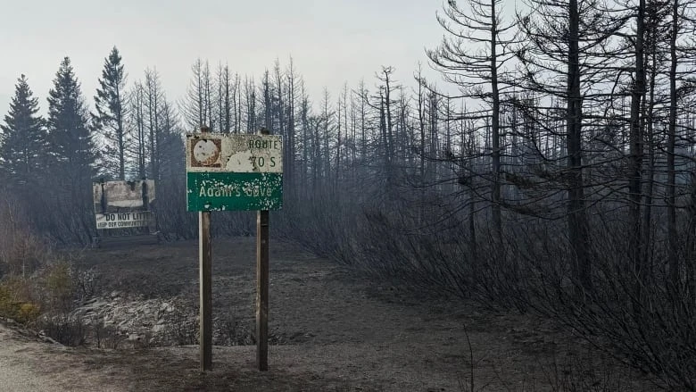 Phone lines down in Adam's Cove days after raging wildfire