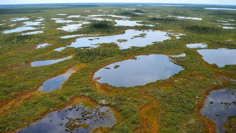 Northwestern Ontario's Ring of Fire central in U.S.-Canada trade war: experts