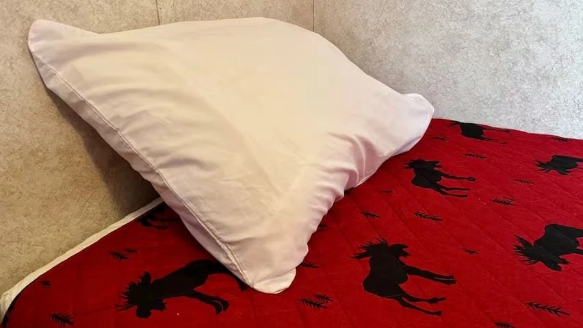 Cambridge women's shelter turns away dozens amid urgent need for safe spaces
