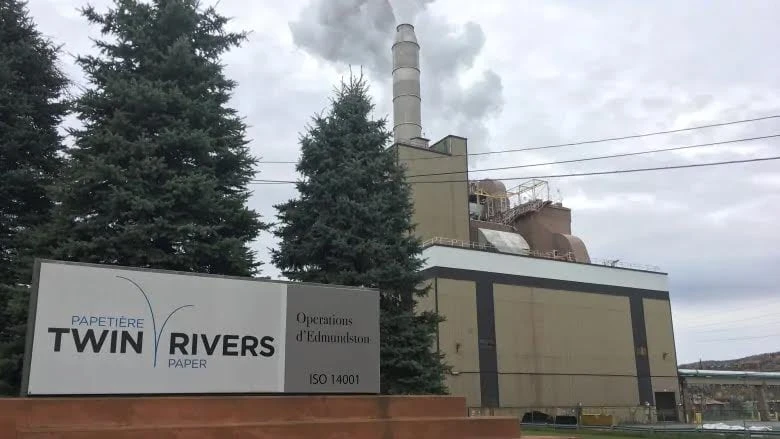 N.B. Power being forced to offer larger rate discounts to forestry mills