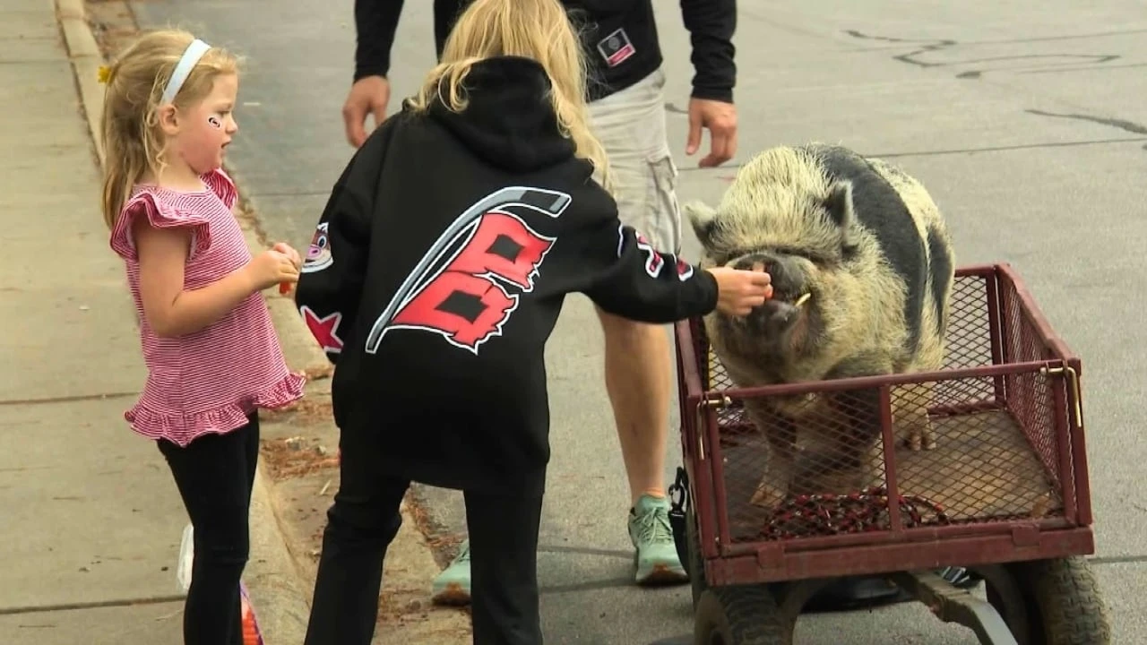 What does hockey fandom look like in North Carolina?