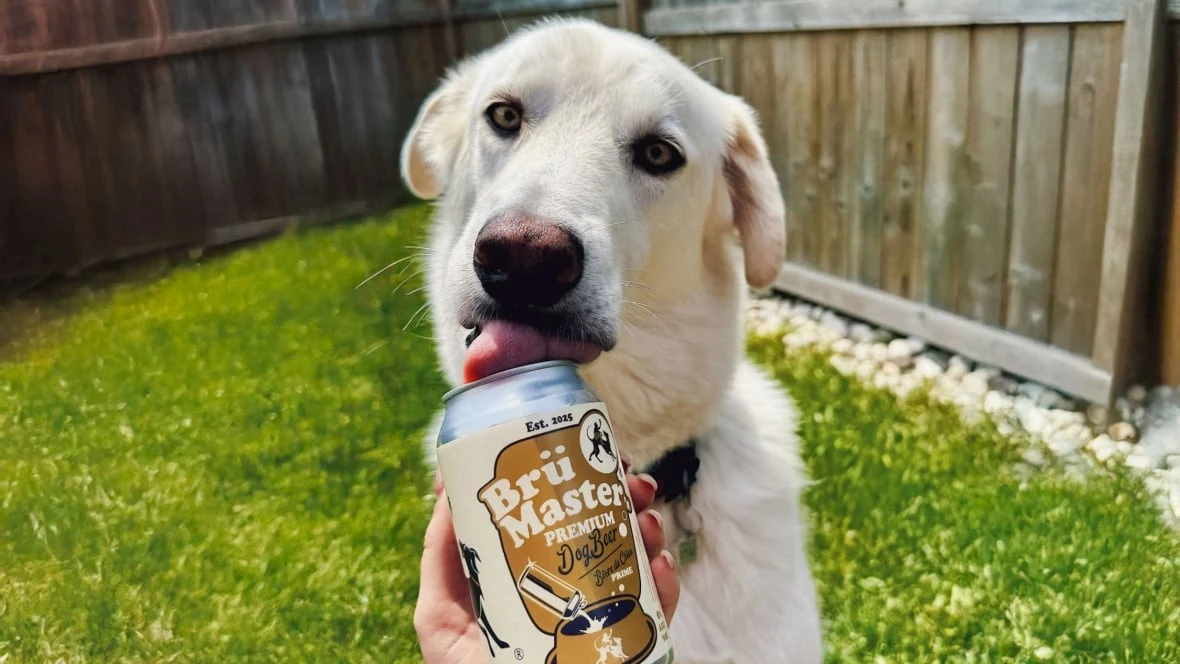 Local restaurants say 'bone appetit' to puppy patios: Jasmine Mangalaseril