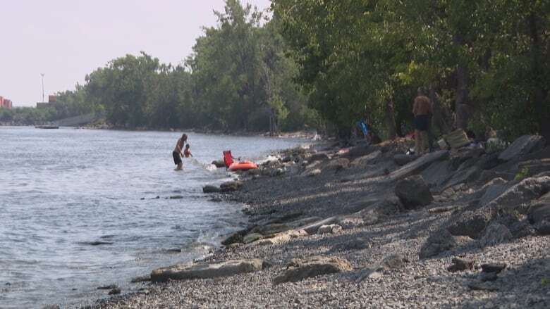 Popular beach in Montreal's east end has contaminated soil, says Public Health