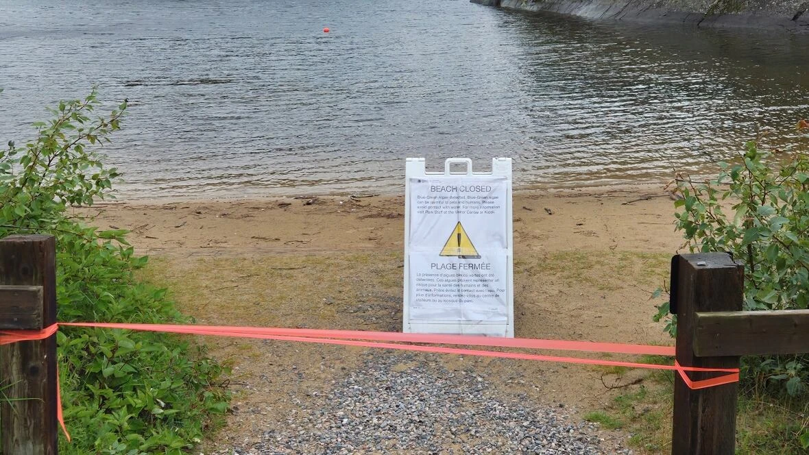 Blue-green algae bloom in Hattie Cove an unwelcome milestone for Pukaswa National Park