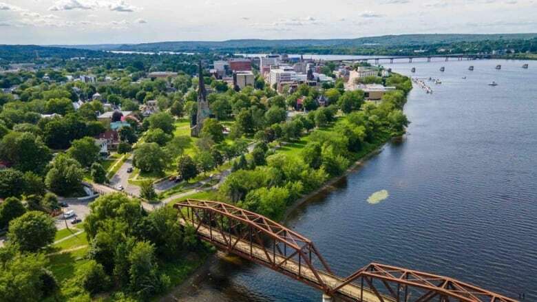 Fredericton adopts plan for keeping its urban forest healthy