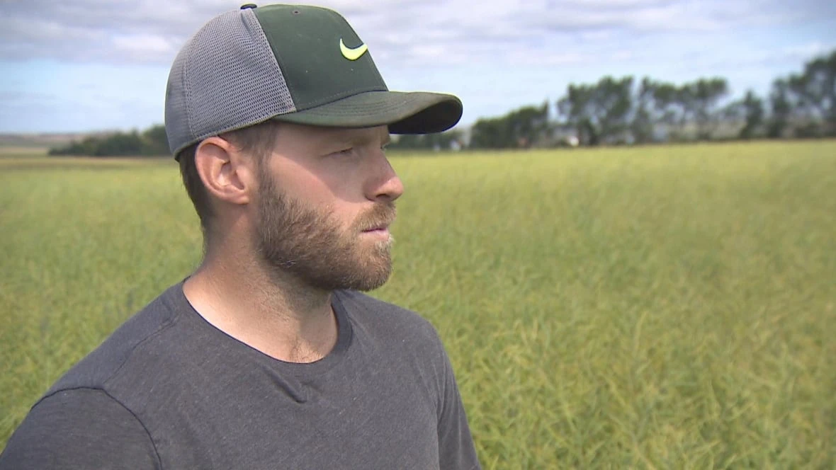 Sask. canola farmers already feeling strain of 'anti-dumping' Chinese tariffs