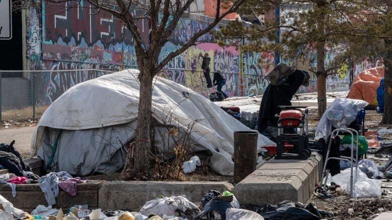 Edmonton took down 9,500 homeless camps last year — 40% more than in 2023