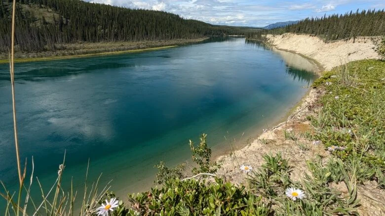 Should the Yukon River be considered a 'person' with rights? Some say it's an idea whose time has come