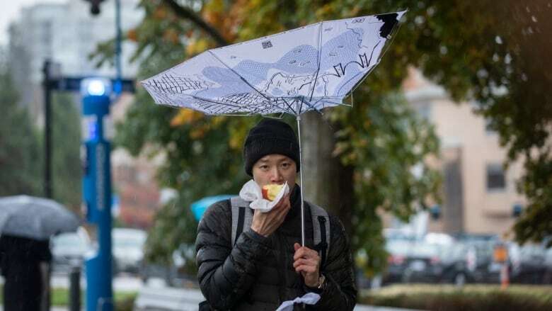 'Potent' storm system set to affect B.C.'s South and Central Coasts