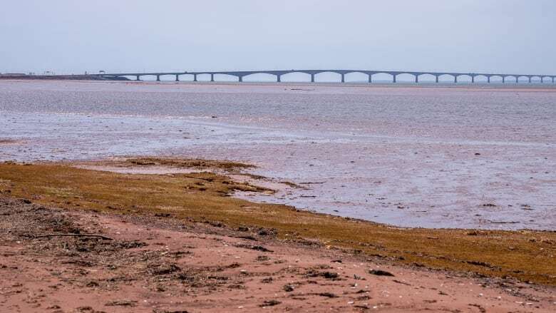 P.E.I. police, coast guard launch recovery effort in Northumberland Strait