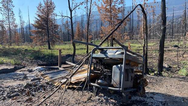 First look at campgrounds in Jasper National Park paints stark picture — but there is hope