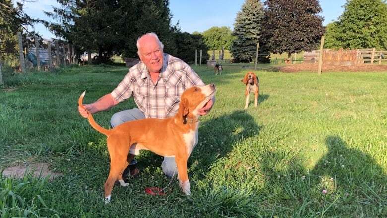 In Ontario, you can train hunting dogs by letting them chase penned animals. Is that fair?