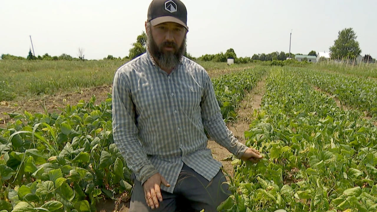 Dry weather, moderate droughts sweeping parts of Canada