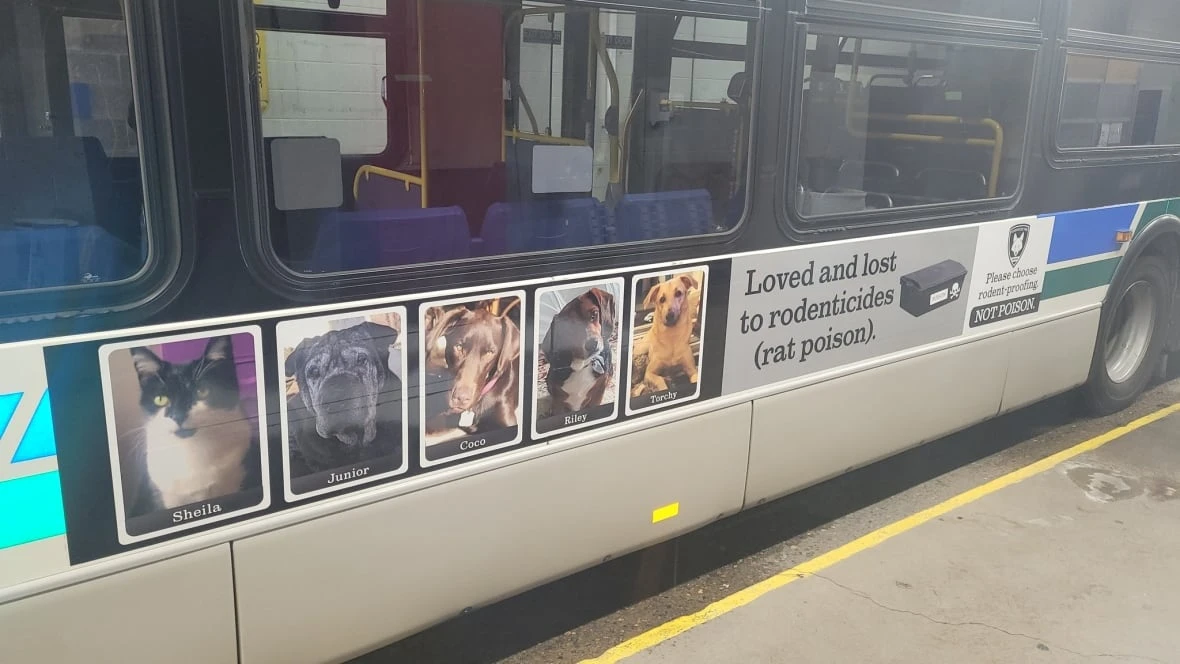 'Torchy' and other pets the faces of what rat poison can do in new London bus ads