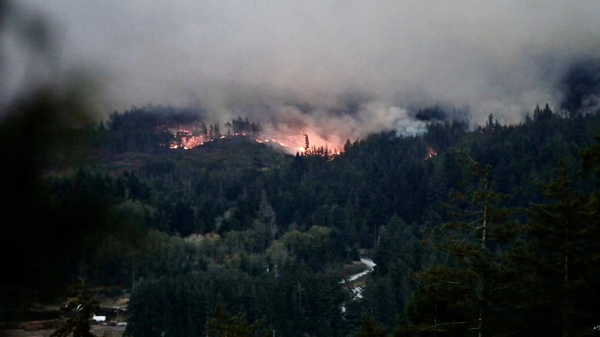 Wildfire south of Port Alberni, B.C., grows, but rain expected in the forecast