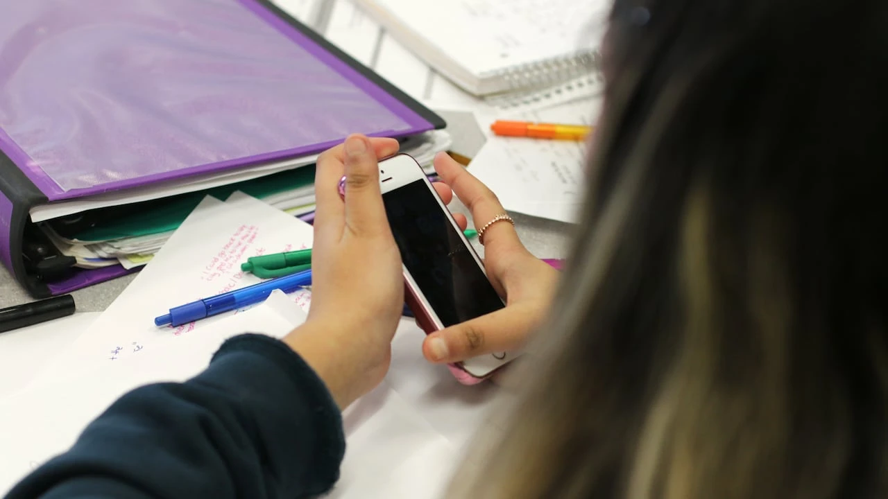 N.L. MHAs unanimously support looking at youth social media ban