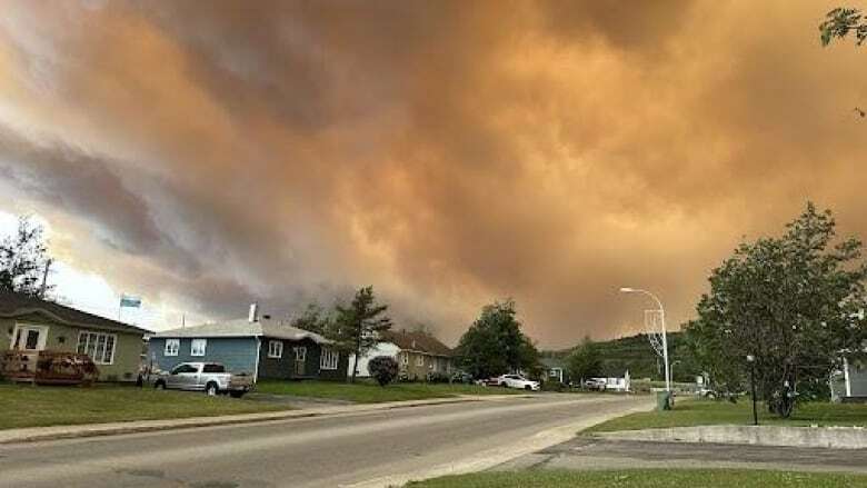 Atlantic Wildfire Centre plan 'flies in the face' of Labrador West's safety, says MHA