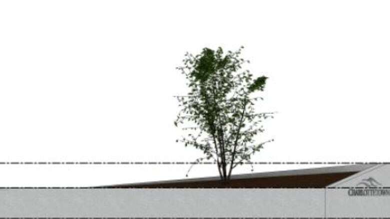 Charlottetown pilot project aims to improve tree cover, starting with an expensive planter