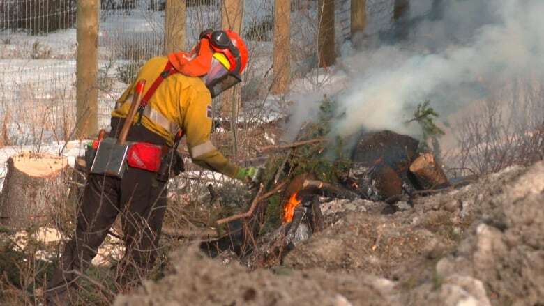 Province warns Islanders to be careful with flames as forest fire season begins