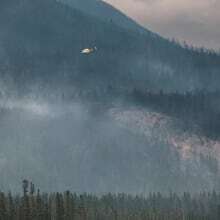 Long-term exposure to wildfire smoke associated with increased risk of dementia: study