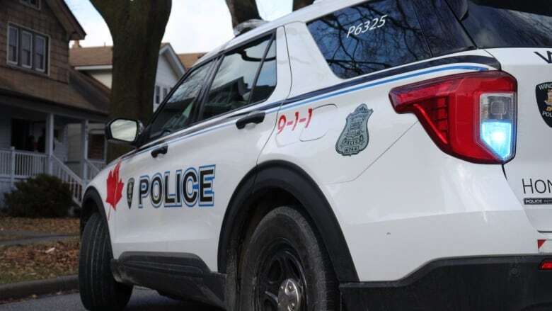 Police look for man who they say assaulted a stranger outside a Windsor grocery store