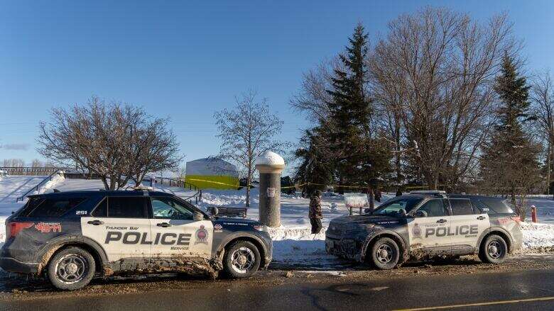 Police investigating fire at homeless encampment in Thunder Bay, Ont., in city's south end