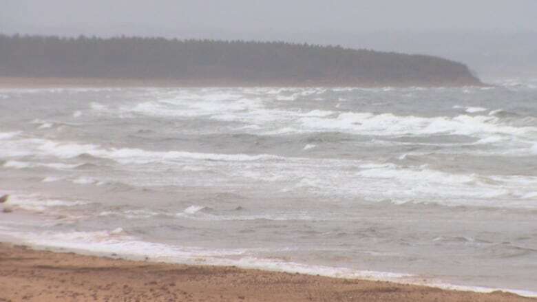 51-year-old woman dead after being pulled from water near Brackley Beach