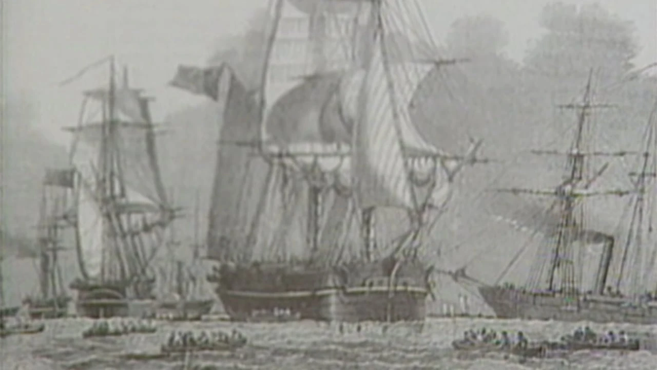 Researchers identify four more sailors from the lost Franklin Expedition