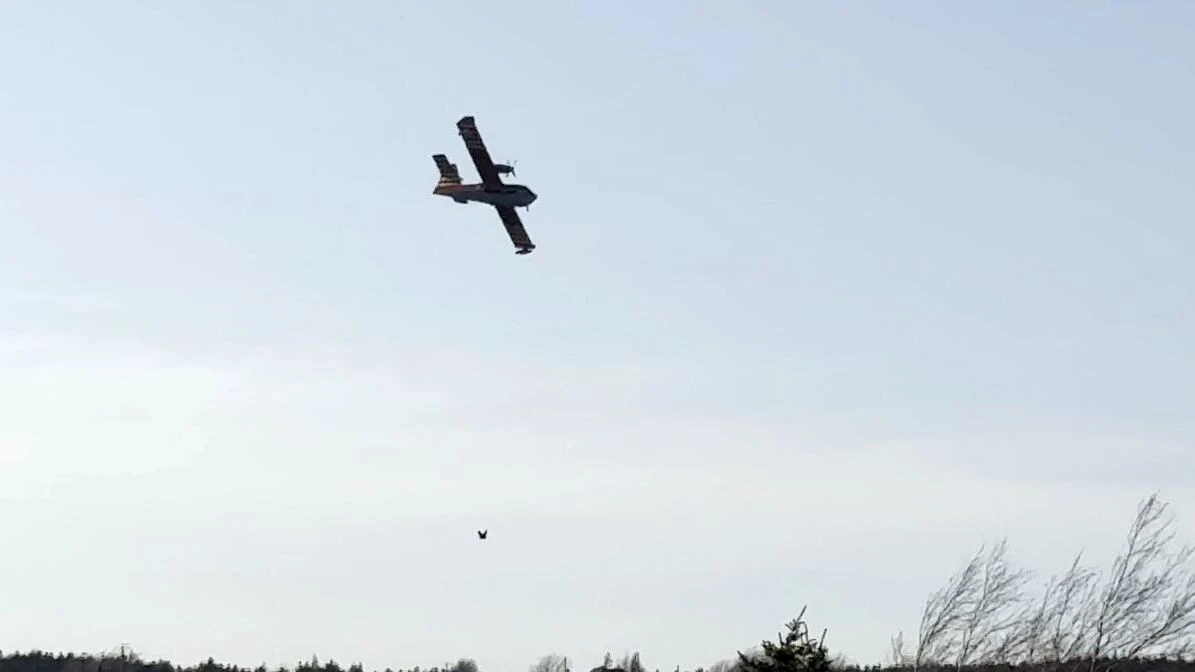 Water bomber helps fight brush fire in Torbay