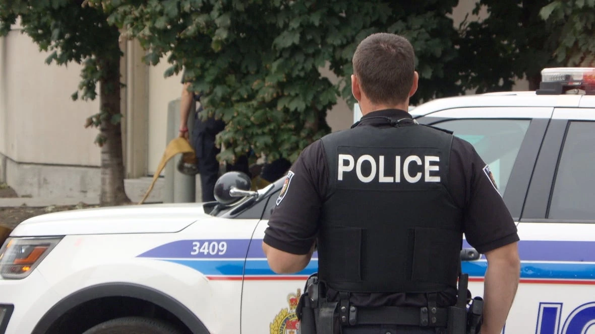 No system to track, train lying police, lawyer says after another scathing decision