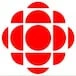 Gunshots fired at Cricket Canada president's house in Surrey, B.C.
