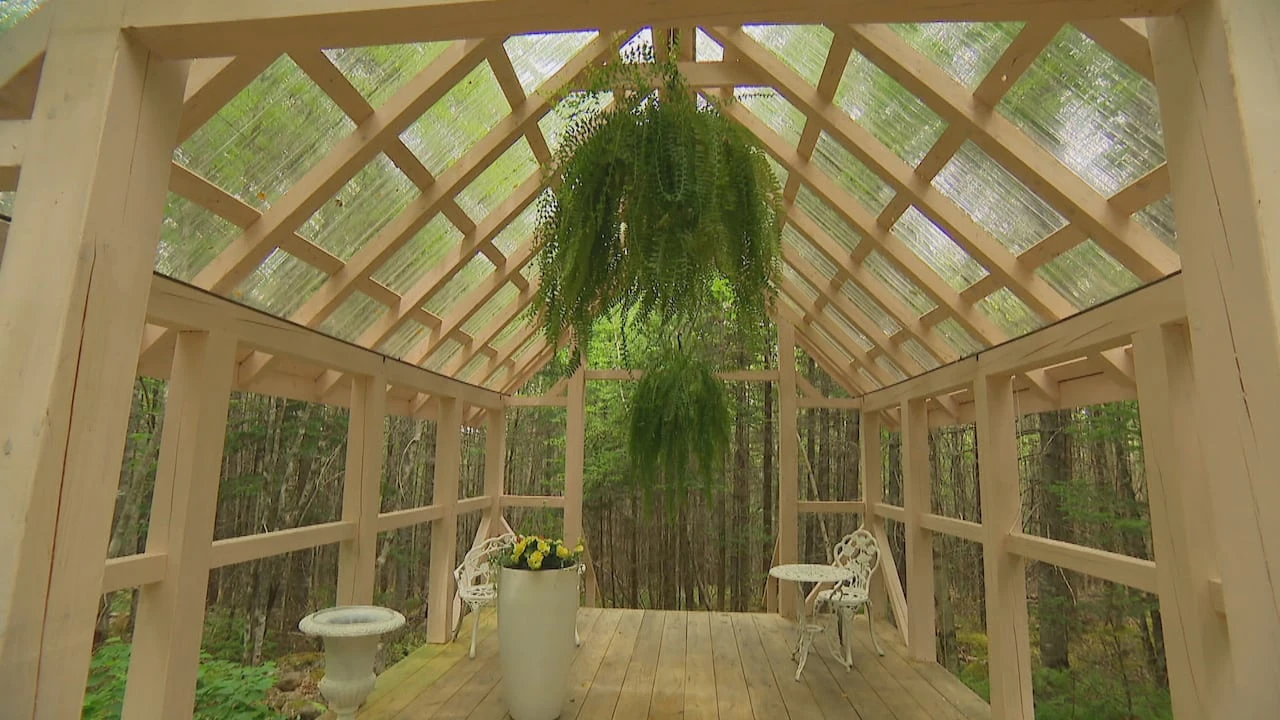 New Ross flower farm featured in the New York Times