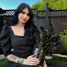 Dark flowers thrive in this trendy backyard 'goth garden'