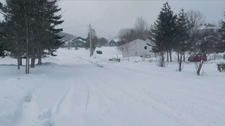 Snow and heavy winds to hit central, western Newfoundland in Valentine's Day storm