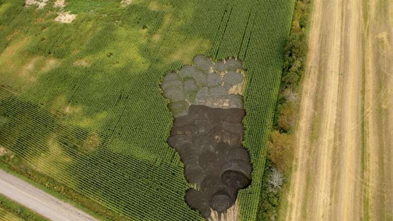 Use of biosolids on Quebec farm fields needs more public scrutiny, say regional mayors