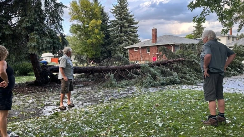 Manitoba Public Insurance posts $130M loss, seeks 3% rate hike for 2025-26