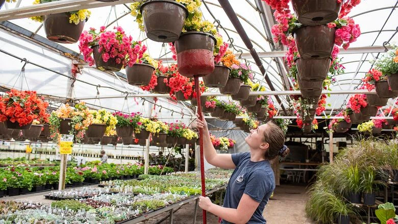 P.E.I.'s 5 hottest garden trends for a 2nd COVID-19 season