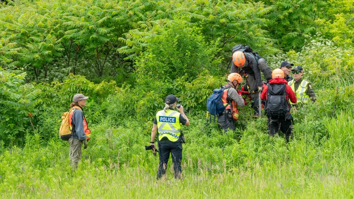 New charge laid against Quebec mother accused of abandoning toddler last month