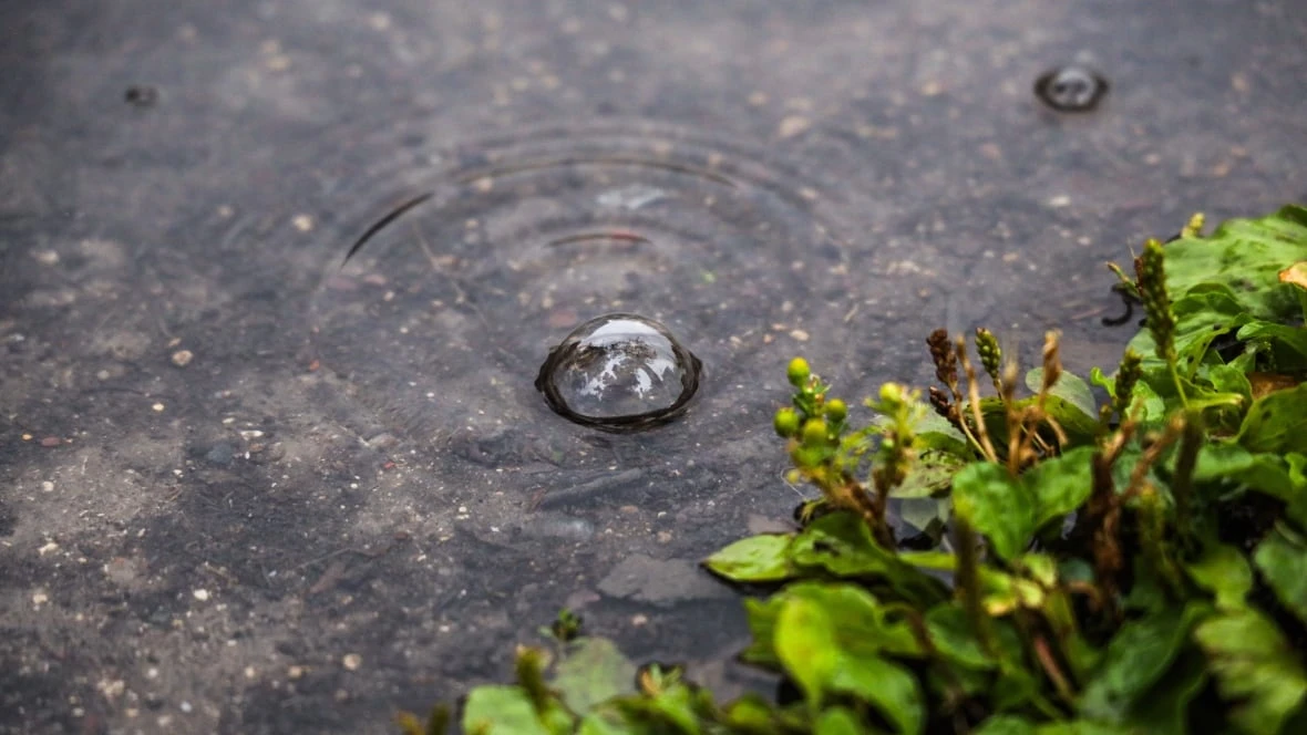 Some rain — not a lot — on the way as northern Manitoba fire-threatened communities remain on edge