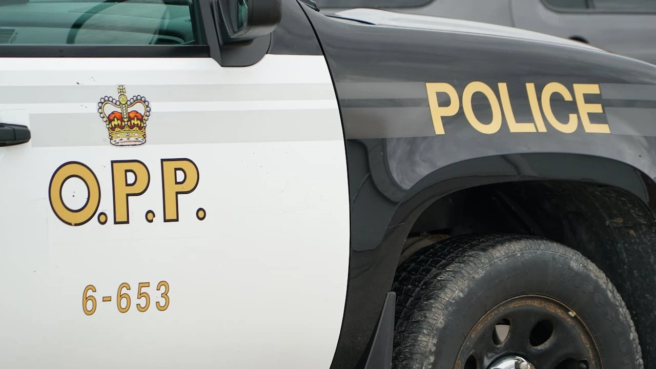 Driver struck, killed on Highway 401 after leaving vehicle post-crash