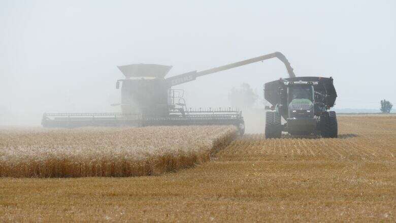 Manitoba farmers brace for 'catastrophe unfolding' amid potential railway stoppage