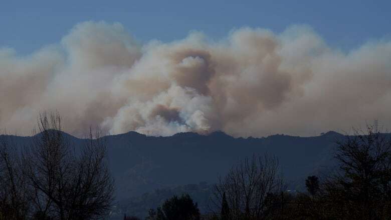 Alberta sending 40 wildland firefighters early next week to help with L.A. wildfires