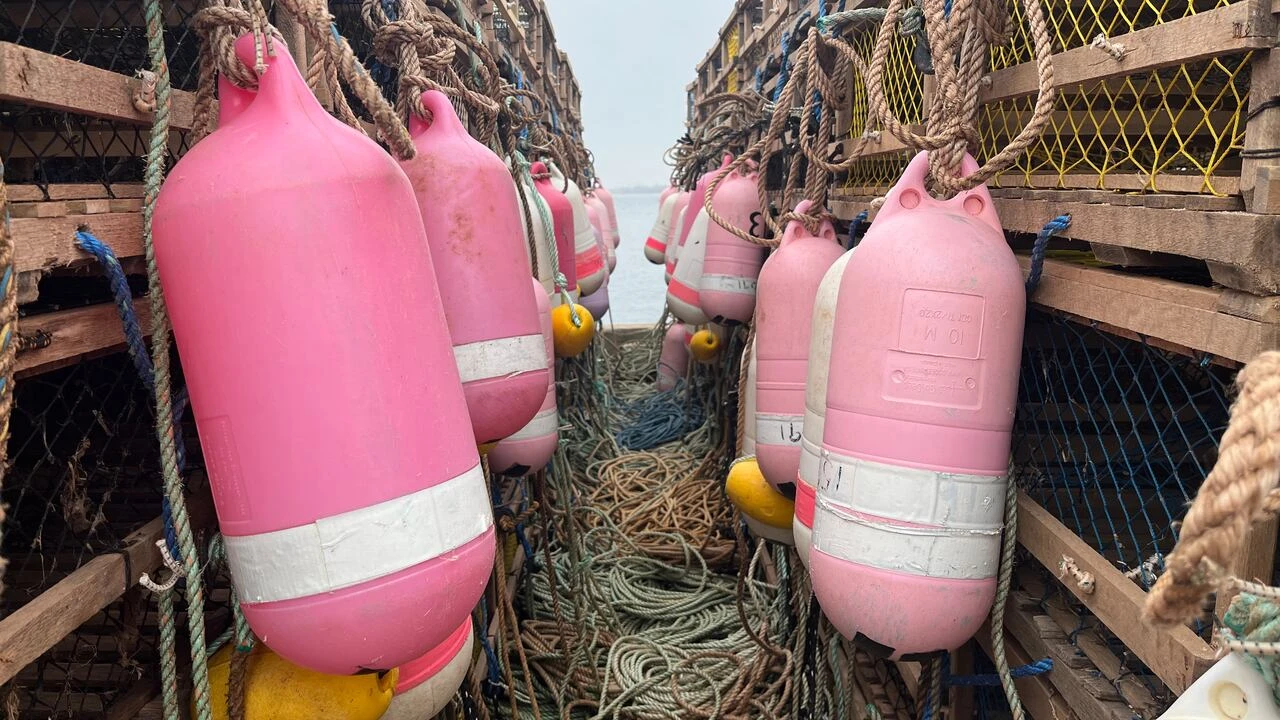 Opening day delayed for spring lobster fishery on P.E.I.'s North Shore