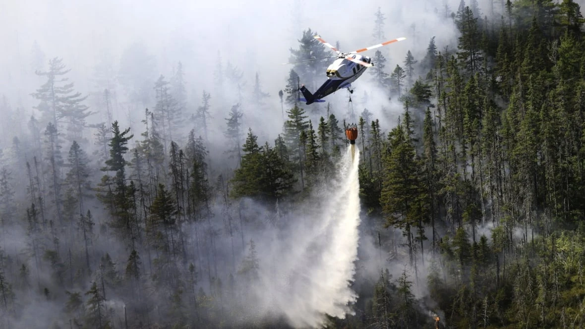 Long Lake wildfire expected to grow Sunday due to 'extreme fire conditions,' says DNR