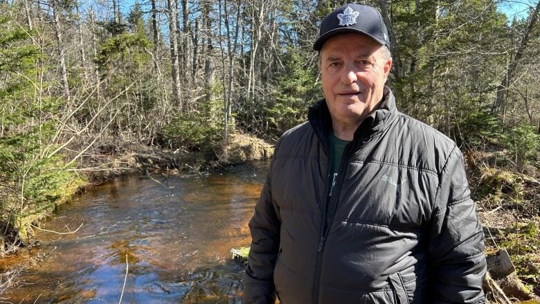 Cardigan River's waters are clear after last year's fish kill, and residents are cautiously optimistic